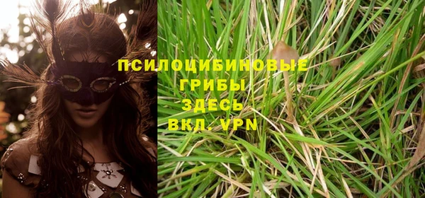 прущая мука Горно-Алтайск